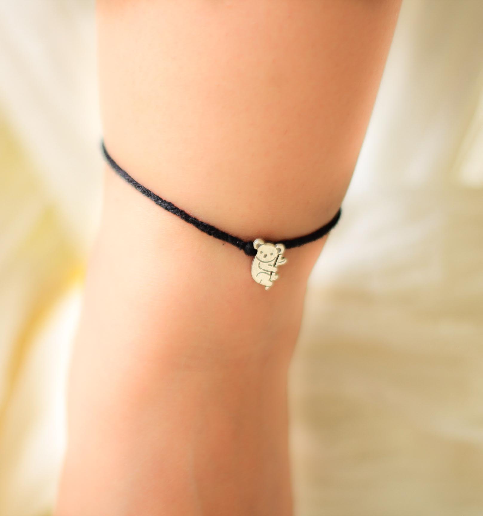 Koala Nazarbattu adult