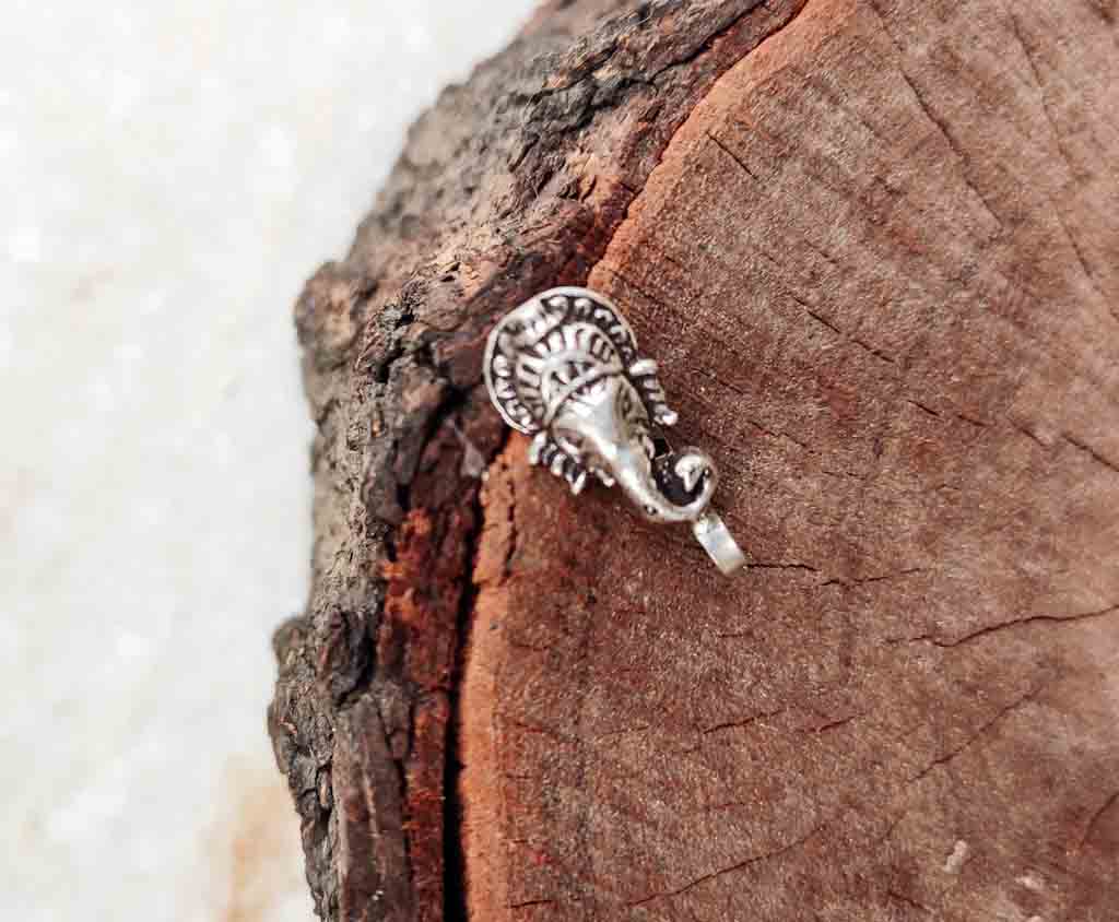 Adya Ganesha Clip on