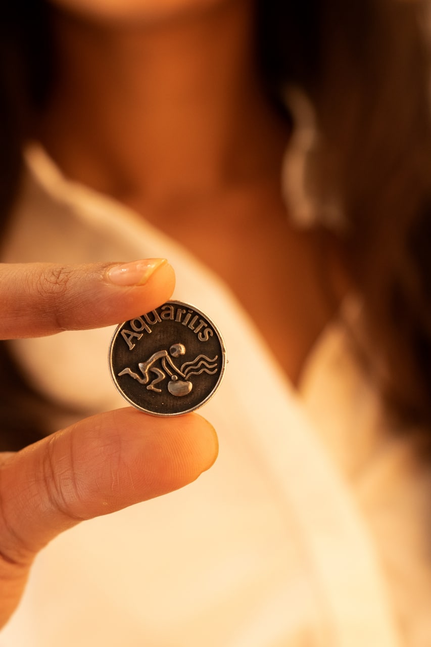 Moh Aquarius Sun Sign Brooch