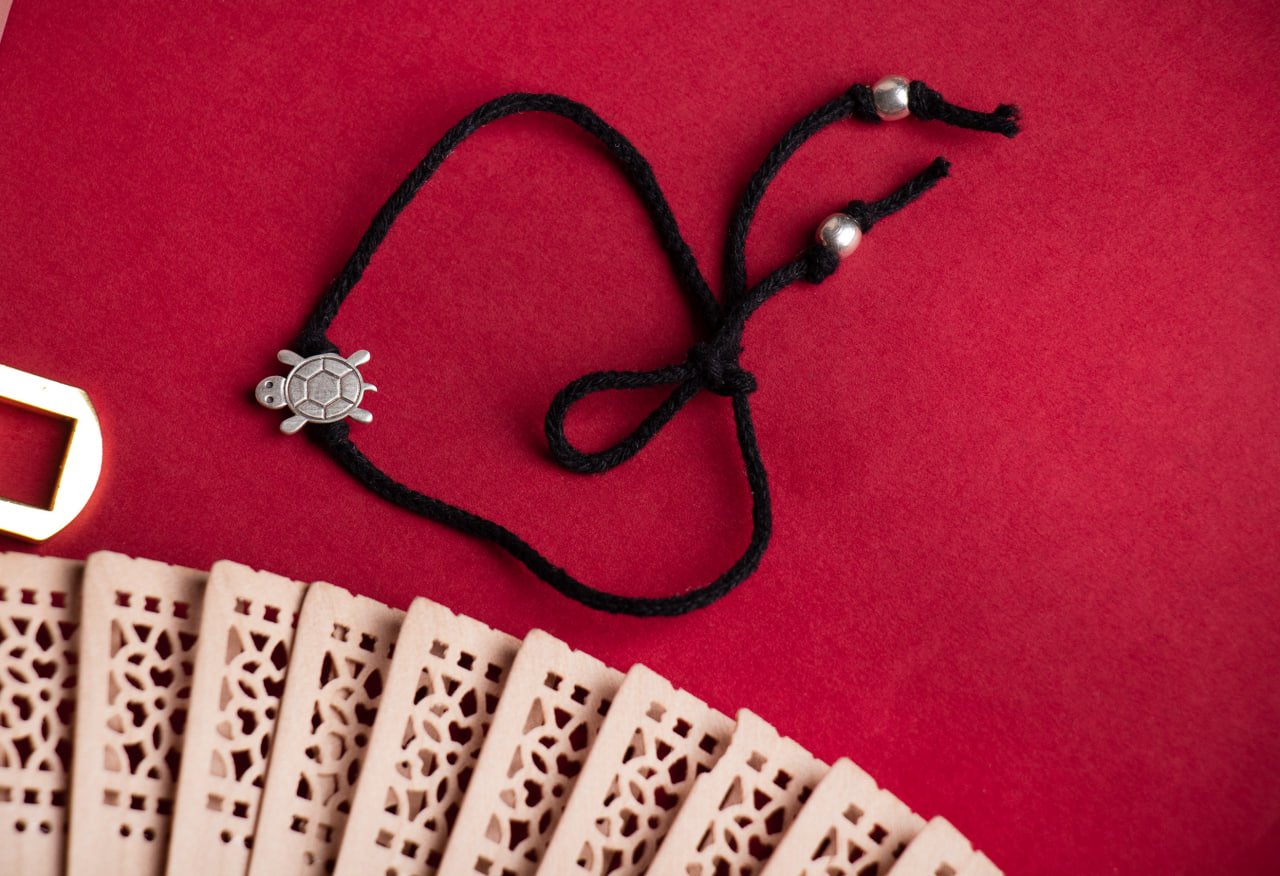 Baby Tortoise Nazarbattu