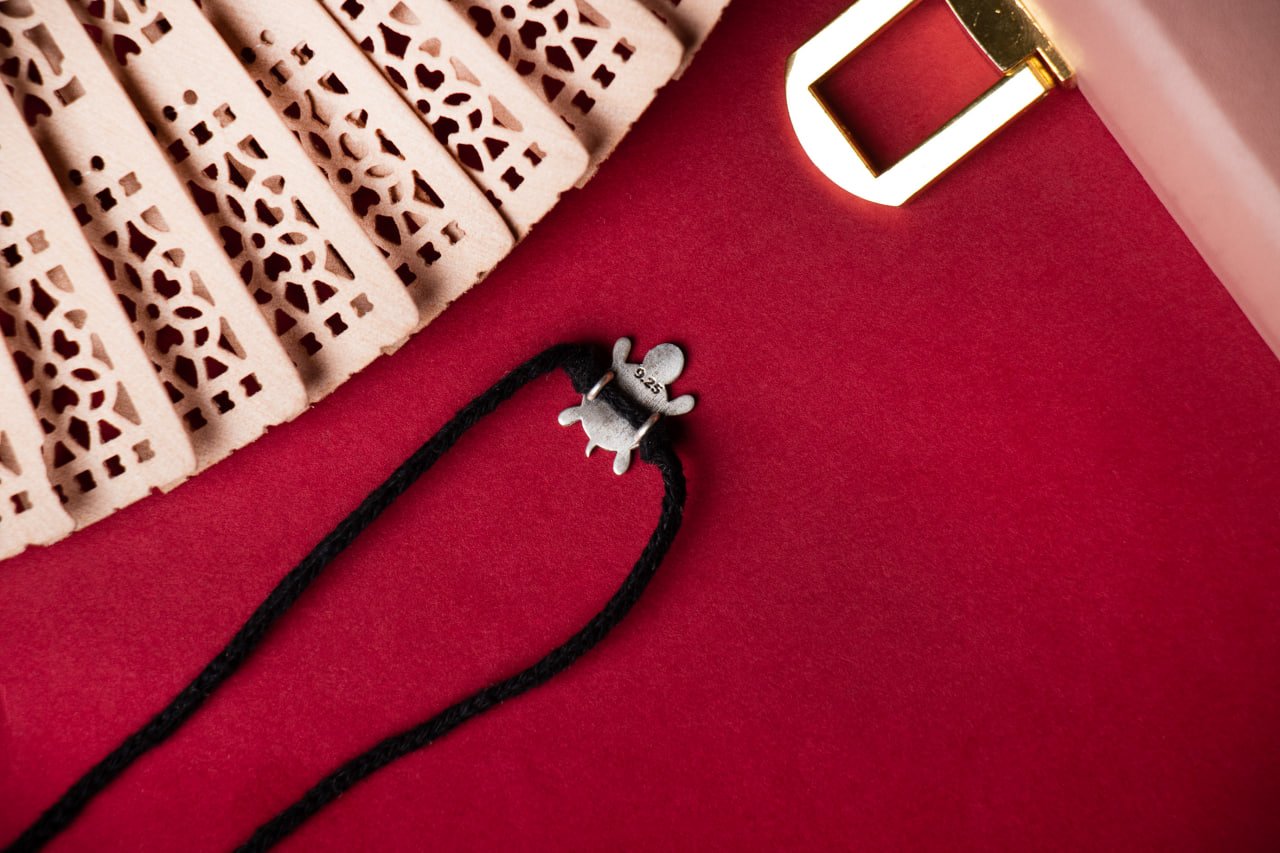 Baby Tortoise Nazarbattu