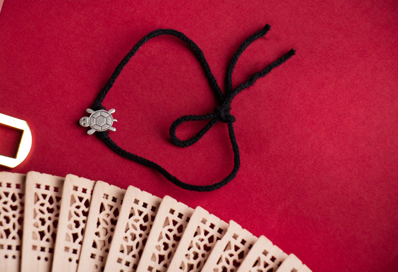 Baby Tortoise Nazarbattu